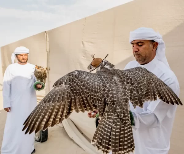 5c34b28eaebf423113719c07